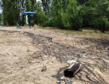 Пляж в Приднепровске полностью очищен: безопасно ли его посещать