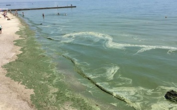 В Одессе внезапно позеленело море: что случилось
