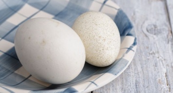 Гусиные яйца улучшают состояние здоровья курильщиков