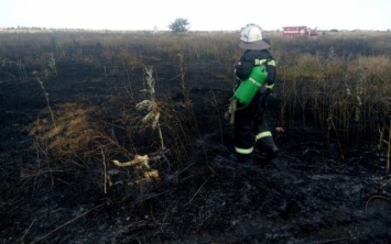 Спасатели Нижнесерогозского района ликвидировали возгорание сухостоя