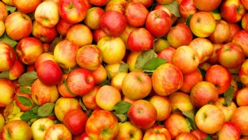Супрун опровергла миф о яблоках