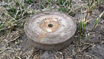 На Бориспольском шоссе под Киевом обнаружили мины