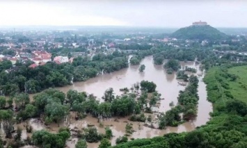 Убытки от майского паводка на Закарпатье составили более полмиллиарда гривен, - ОГА