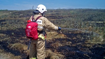Возгорание сухой травы едва не привело к пожару на пшеничном поле в Кировском районе