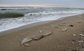 Побережье моря усеяно полсотней трупов: подробности необъяснимой трагедии