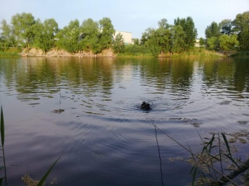 Спасатели достали из озера в урочище длинный Лан в Киеве тело мужчины. Фото