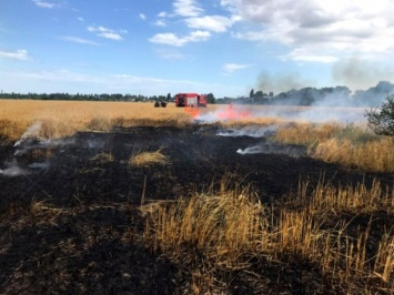 Повышенная пожароопасность: под Одессой второй раз за два дня горят поля
