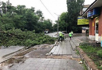 В Кривом Роге неизвестные украли 30 метров троллей, пока коммунальщики ликвидировали последствия бури
