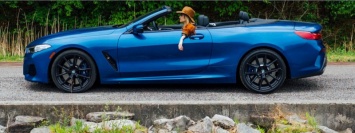 Кабриолет BMW M850i??2019: фото и характеристики модели
