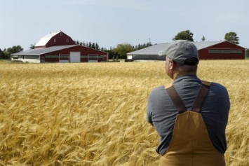 Украинские фермеры начали привлекать более дешевое финансирование за границей