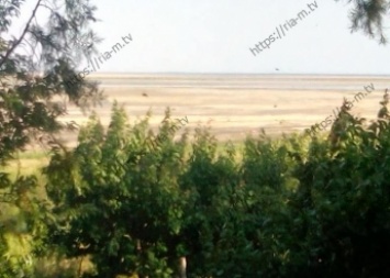 Местные жители показали шокирующие фото тог, как высох Молочный лиман (фото)