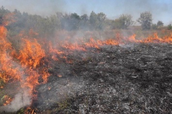 На Днепропетровщине горело 4 гектара сухой травы: спасатели призывают беречь природу, - ФОТО