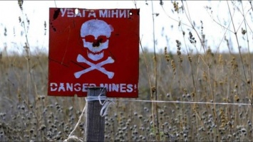 Стало известно, сколько гражданских погибло от мин за 5 лет войны на Донбассе