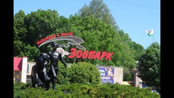 Неизвестные «заминировали» зоопарк и церкви в двух районах Николаева