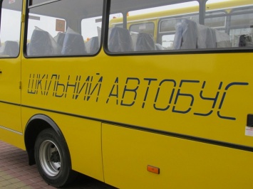 В Николаевской спецшколе более полугода простаивает автобус для детей-колясочников
