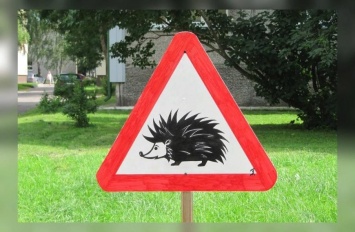 Осторожно, ежи! Новый дорожный знак в Англии