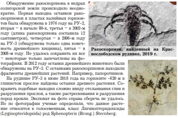 В Беларуси шахтеры обнаружили ракоскорпиона возрастом в 350 миллионов лет, запечатанного в породе. Фото