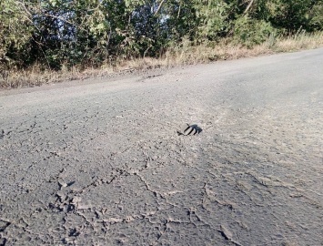 По пути в Мариуполь мужчина едва не наехал на мину, - ФОТО