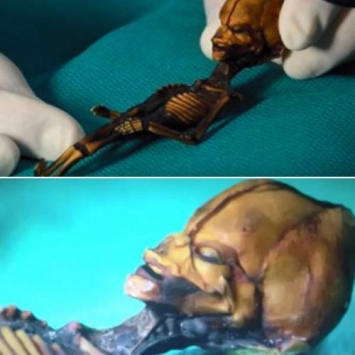 Карлик-воин с Нибиру. На Земле нашли вторую 10-сантиметровую мумию