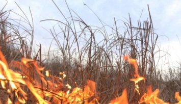 На Николаевщине спасатели ликвидировали пожары сухой травы и мусора