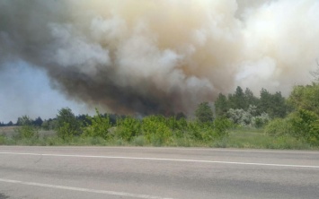 Херсонщина в огне. Очередной лесной пожар ликвидировали спасатели