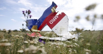 FT: Россия должна передать подозреваемых в катастрофе MH17