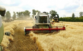 В Украине начали уборку ранних зерновых