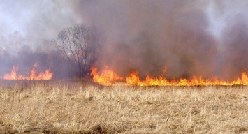 В Запорожской области горят поля и луга