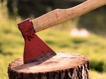 Власть Покровска разрешила спилить 146 деревьев в городе