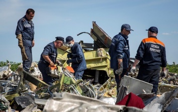 MH17: экс-посол Малайзии в Нидерландах назвала расследование "сомнительным"