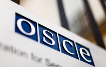 ОБСЕ нашла 30 Градов в оккупированных районах Луганской области