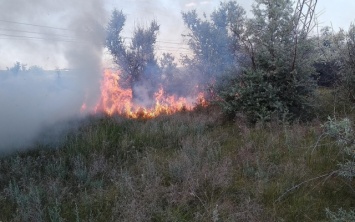 В Николаеве и области за сутки выгорело 36 гектар сухостоя и травы