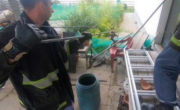 На Днепропетровщине в частный дом заползла метровая змея (ВИДЕО)