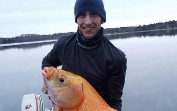 В США рыбак выловил гигантскую рыбу-мутанта (фото)