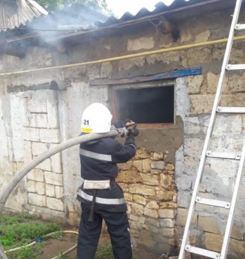 В Новой Одессе пожарные спасли цыплят из огня