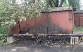 На Днепропетровщине живодеры подожгли собачьи будки