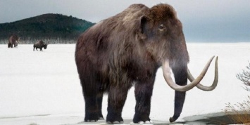 Американские ученые хотят возродить мамонтов и поселить их в Сибири