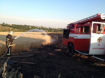 На Николаевщине за прошедшие сутки сгорело 33,5 га - как пшеницы на корню, так и сухостоя (ФОТО)