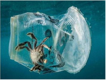 Саммит G20 в Японии: лидеры стран хотят договориться о полном прекращении выброса пластика в океан к 2050 году