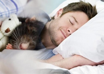 Ученые доказали влияние температурного режима на сон
