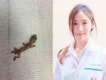 В Таиланде из уха пациента была извлечена живая ящерица