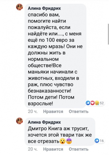 Днепряне согласны увеличить сумму вознаграждения за поимку «кошачьего маньяка»