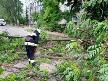 В Днепропетровской области из-за непогоды пострадали два человека