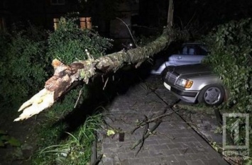 Из-за урагана в Кривом Роге упали два тополя и разбили 12 машин