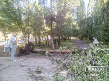 В Кривом Роге без света остается часть больниц