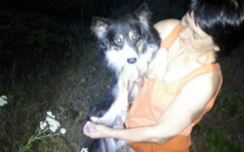 На Днепропетровщине сотрудники ГСЧС вытащили собаку из колодца