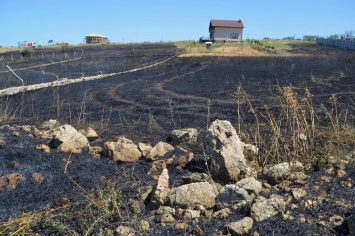 В Севастополе сгорело лавандовое поле