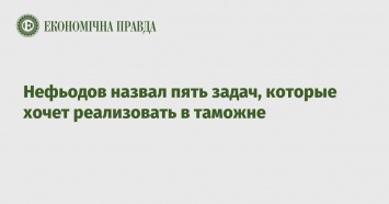 Нефьодов назвал пять задач, которые хочет реализовать в таможне