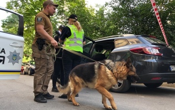 В Киеве у мужчины грабители отобрали более миллиона