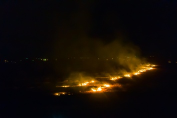 На Днепропетровщине горели 5 гектаров поля